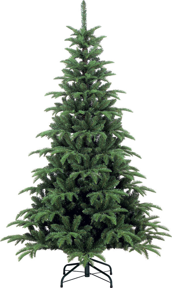 Albero abete alpino