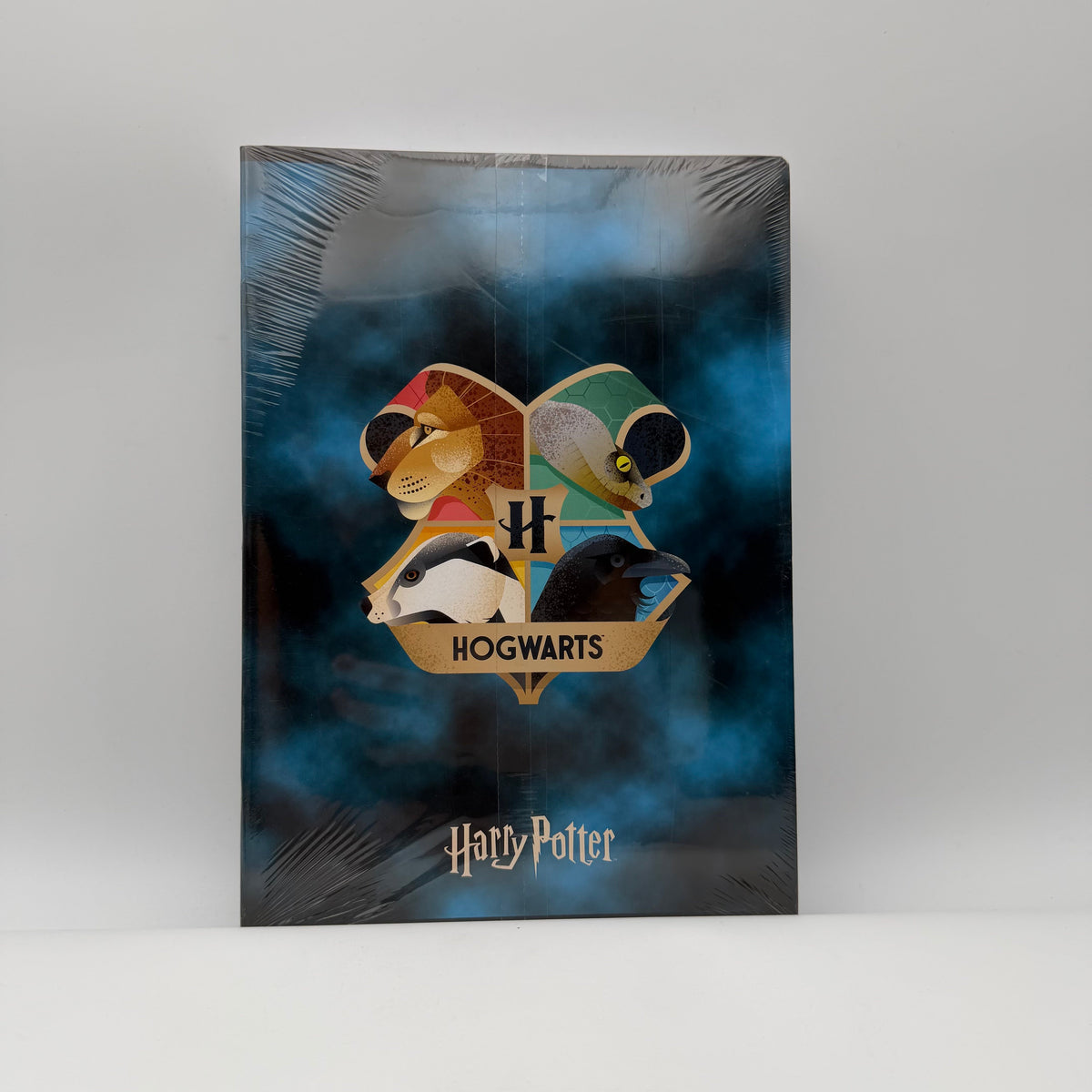 Quaderni Hogwarts Harry Potter blu